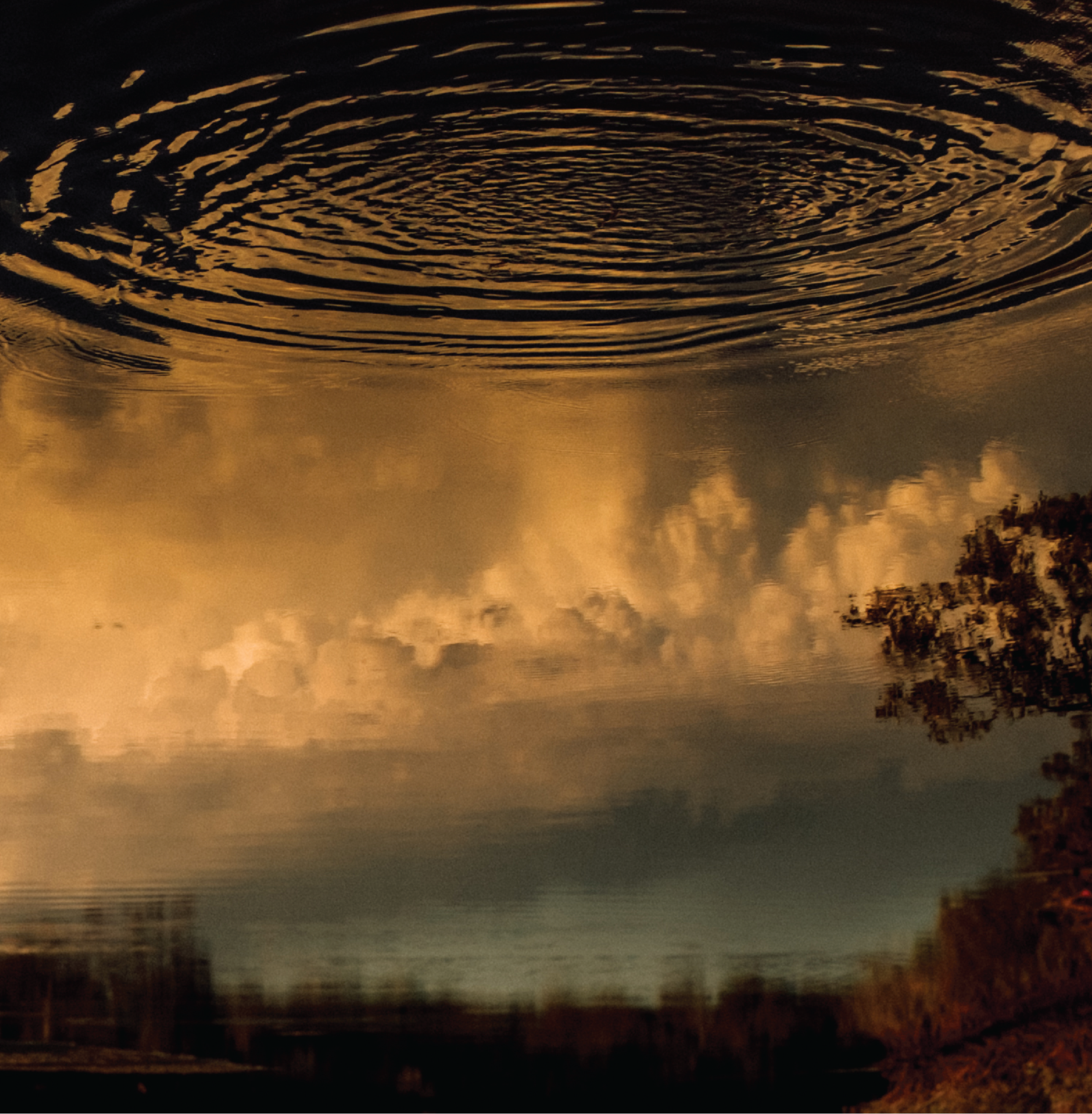 Single release: ‘Self Doubt’ by Jeb Cardwell