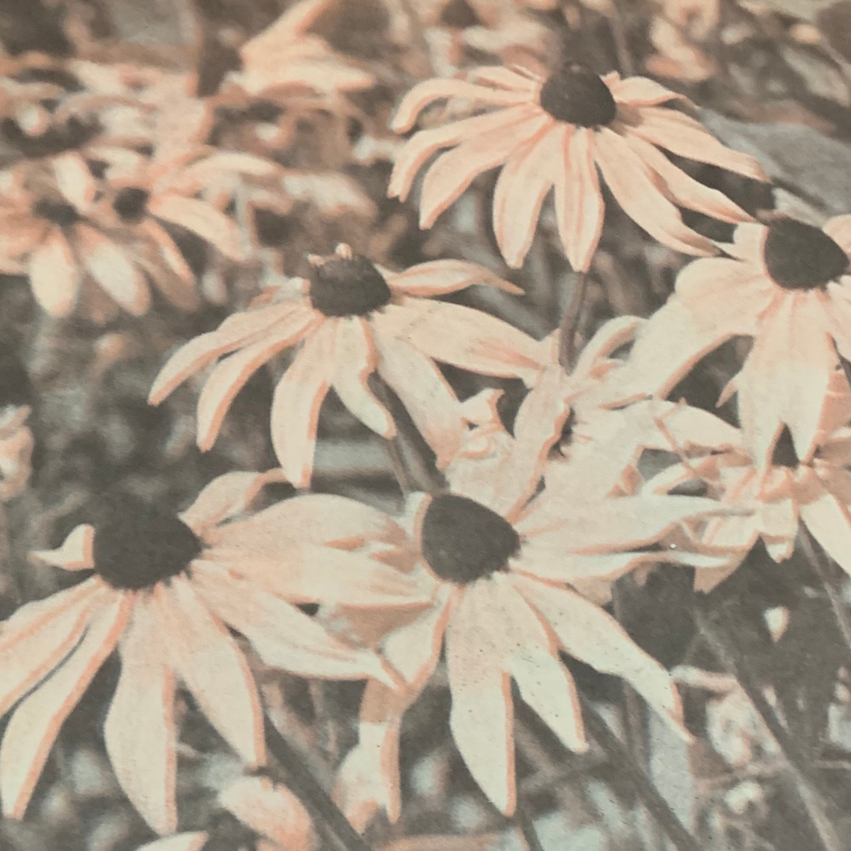 Single release: ‘Come on December’ by Ben Leece ft. Melody Pool