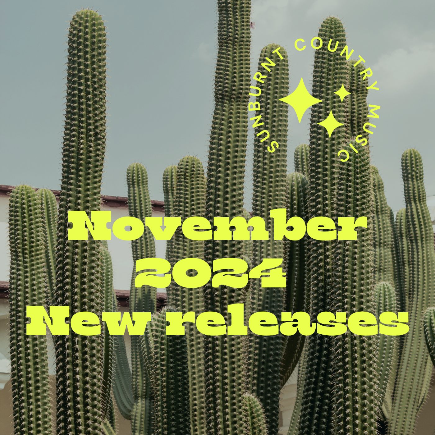 November 2024 new releases playlist