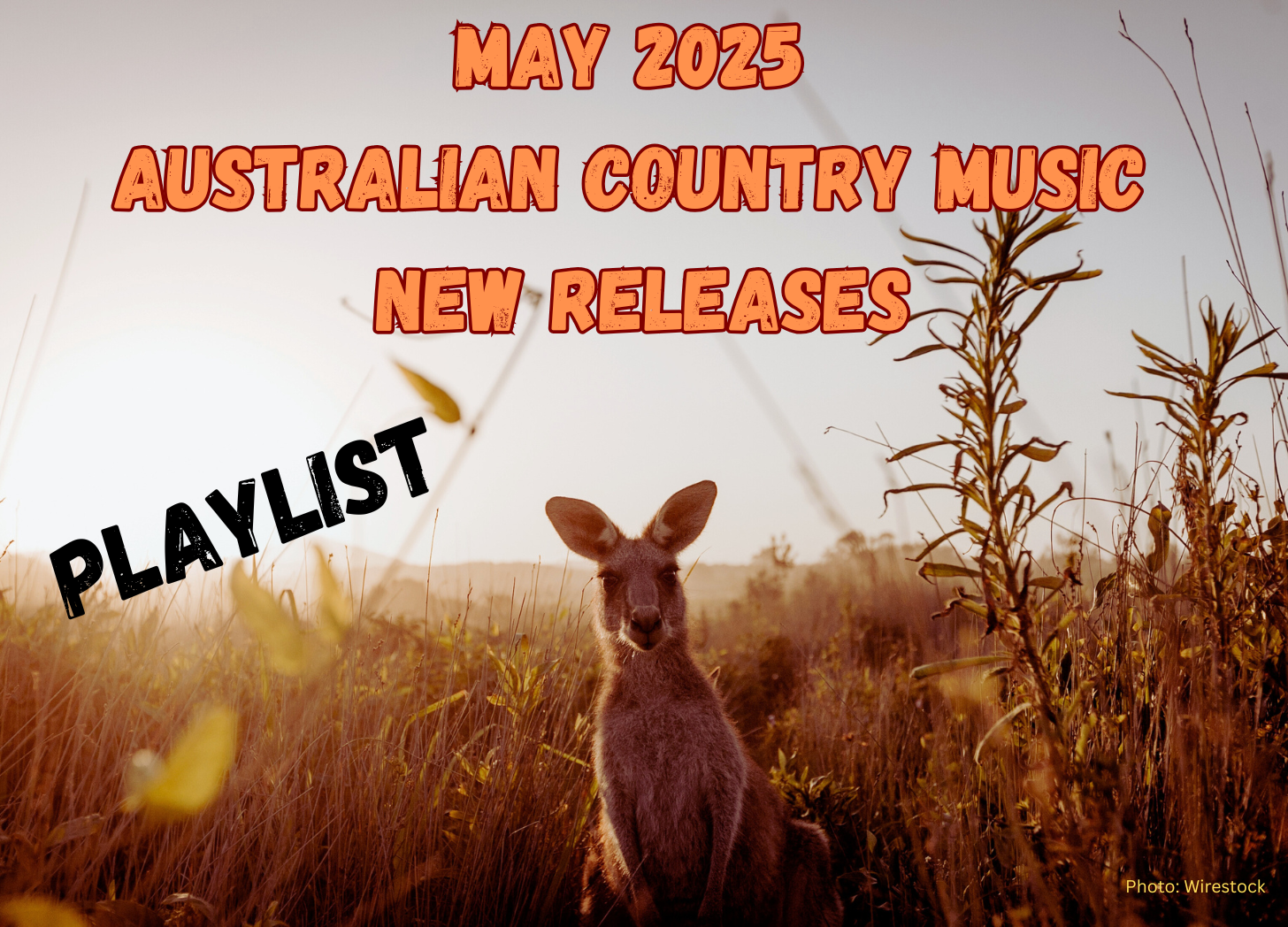 May 2025 new releases playlist