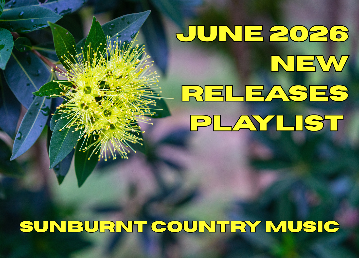 PLAYLIST: June 2026 new releases